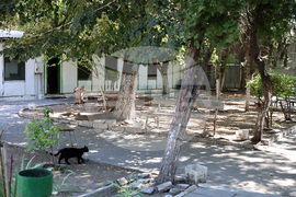 Пловдив - затворническо общежитие - откриване