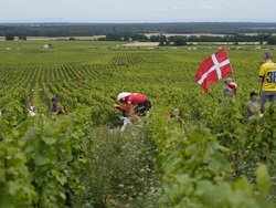 Cycling Tour de France