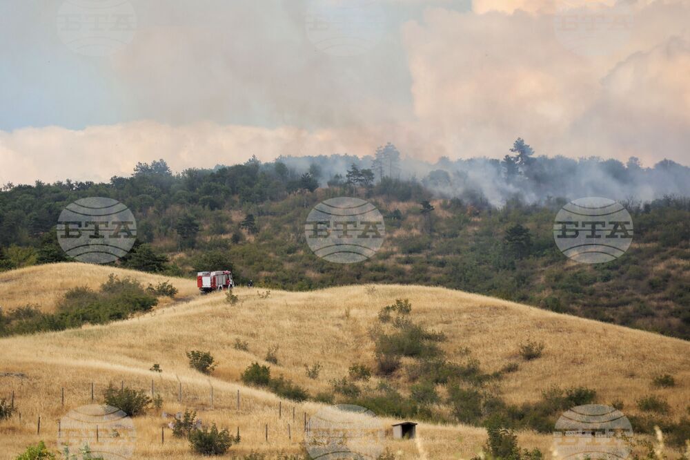 Бургас - квартал „Банево" - пожар