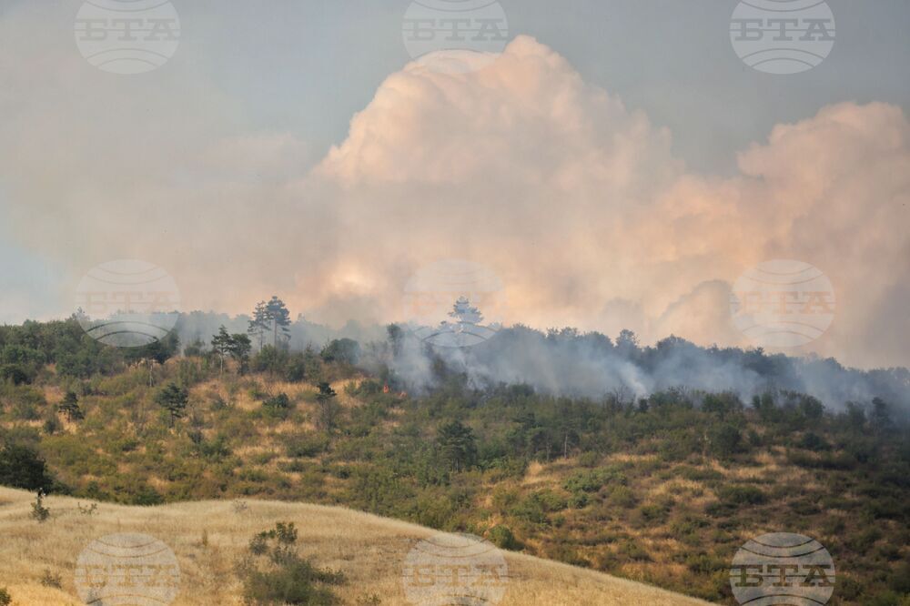 Бургас - квартал „Банево" - пожар