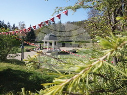 Снимка: Столична община, район Банкя