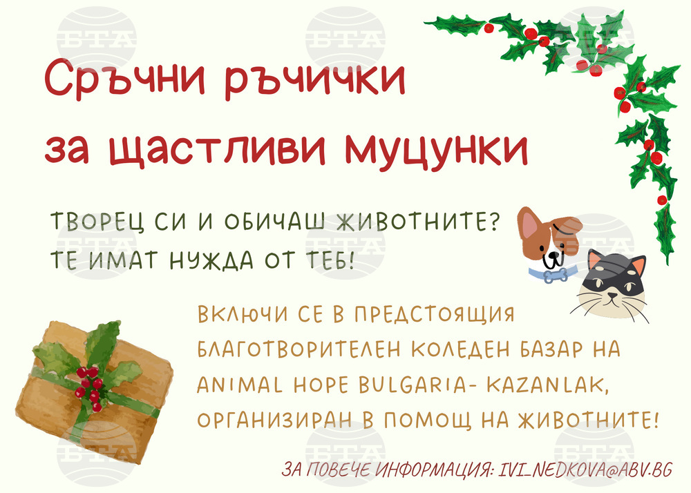 Коледен базар в помощ на бездомните животни организират в Казанлък от фондация "Animal Hope"