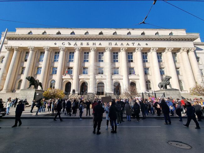 Протест - животни - защита