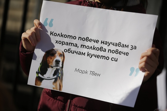 Предложенията за по-строги санкции за насилие над животни са публикувани за обществено обсъждане, наказанията достигат до 10 години затвор