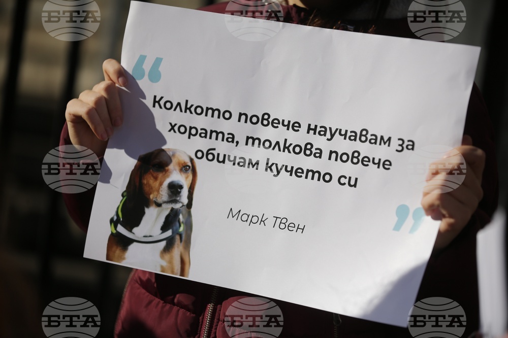 Протест - животни - защита