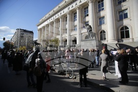 Протест - животни - защита