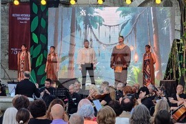 Видин - Летни музикални празници - „Вълшебната флейта“