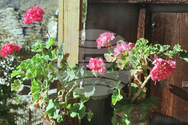 Есен в Родопите - село Ковачевица