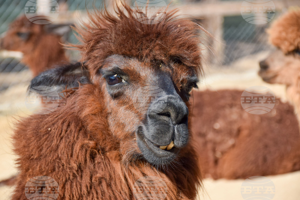 The Weather on August 13