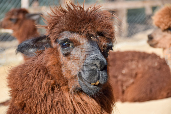 The Weather on August 13