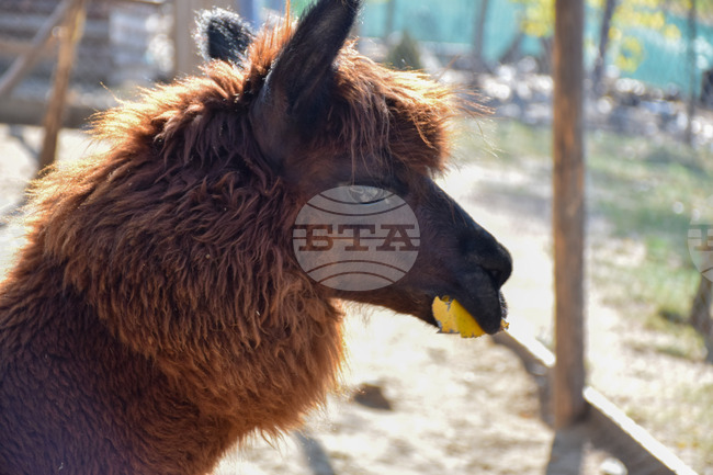 The Weather on June 11