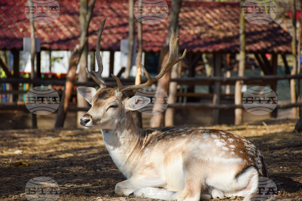 The Weather on September 19