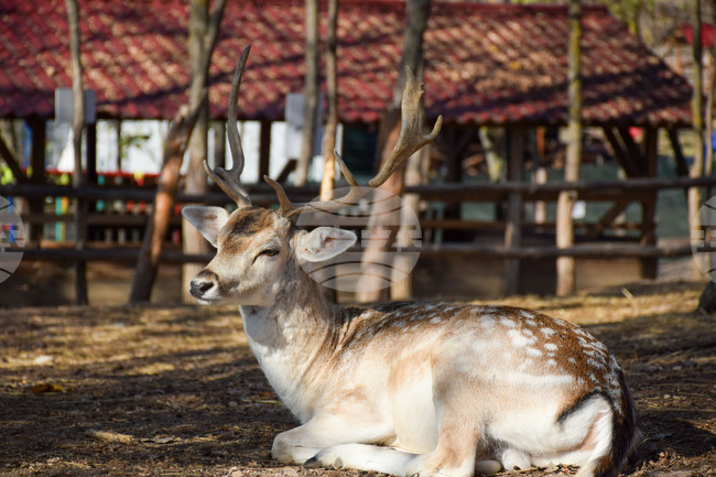 The Weather on September 19