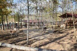 Дъбница - зоокът - екзотични животни