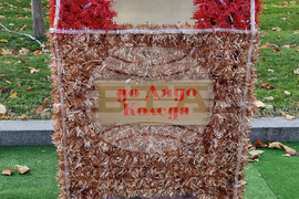 Плевен - празнична украса - коледни светлини