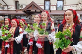 Мелник – фестивал – „Златен грозд“