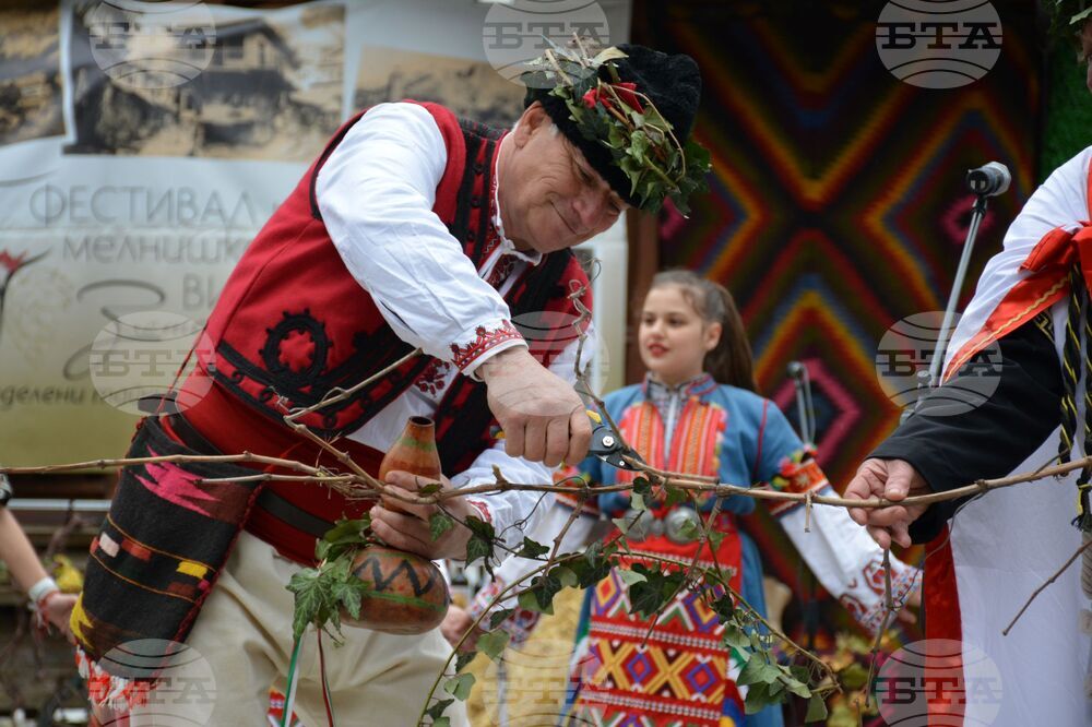 Мелник – фестивал – „Златен грозд“