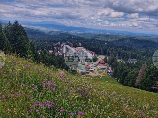 Revenues from Overnight Stays in Accommodation Establishments Up 13.6% in March 2025, Y/Y