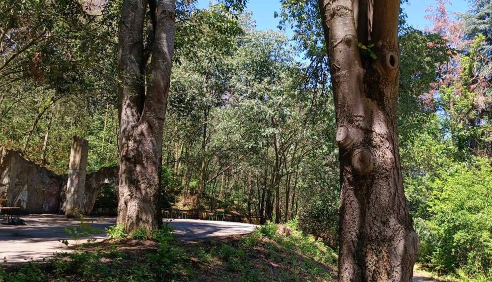 Община Русе: На 7 юли доброволци откриват „Пътека на авлигата“ в района на хижа „Приста“