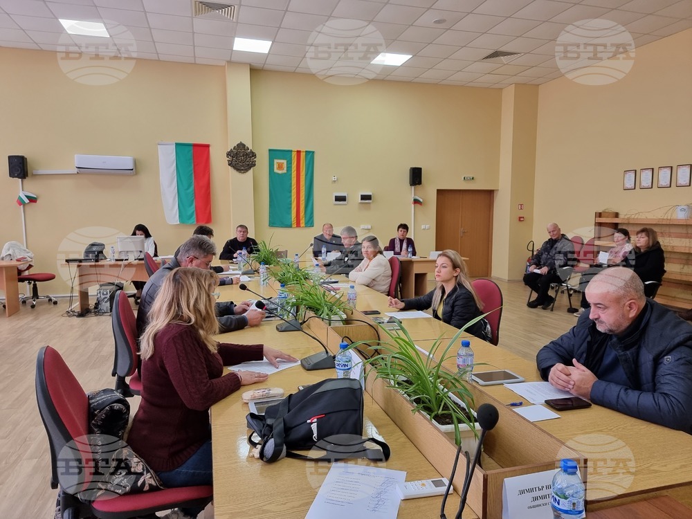Общинският съвет в Болярово прие годишен план за 2025 г. за ползване на дървесина от общинските горски територии