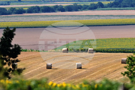 Село Духовец - природа - рулонни бали