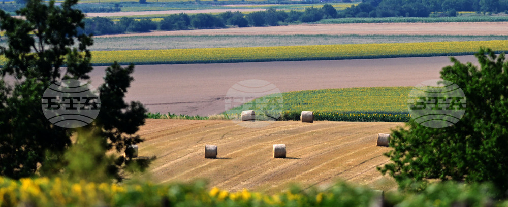 Село Духовец - природа - рулонни бали