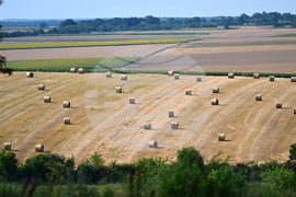 Село Духовец - природа - рулонни бали