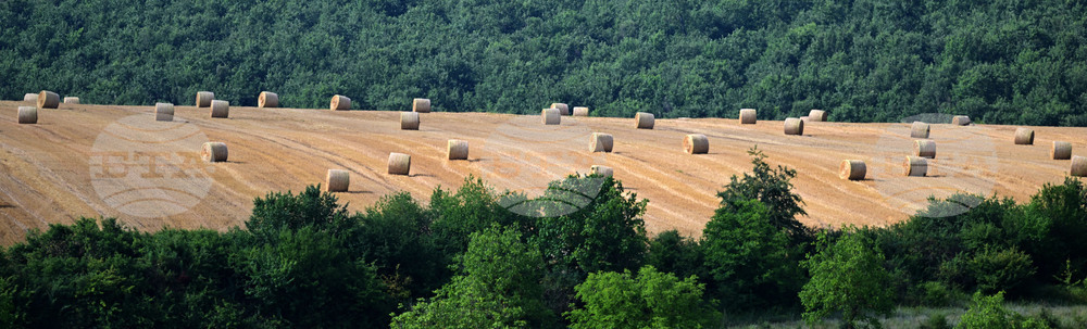 Село Духовец - природа - рулонни бали