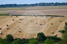 Село Духовец - природа - рулонни бали
