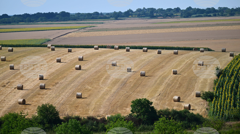 Село Духовец - природа - рулонни бали