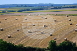 Село Духовец - природа - рулонни бали