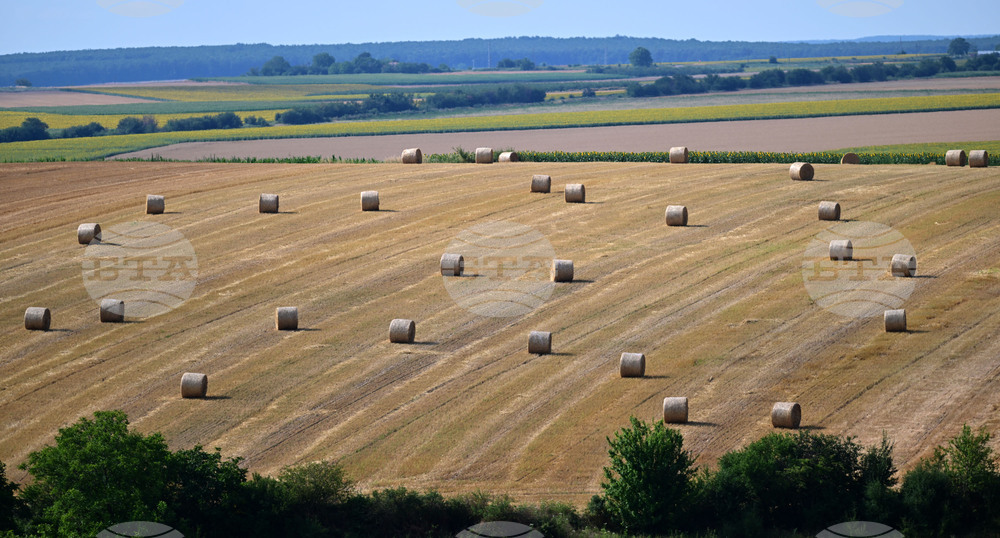 Село Духовец - природа - рулонни бали