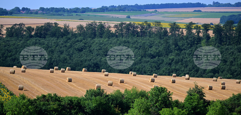 Село Духовец - природа - рулонни бали