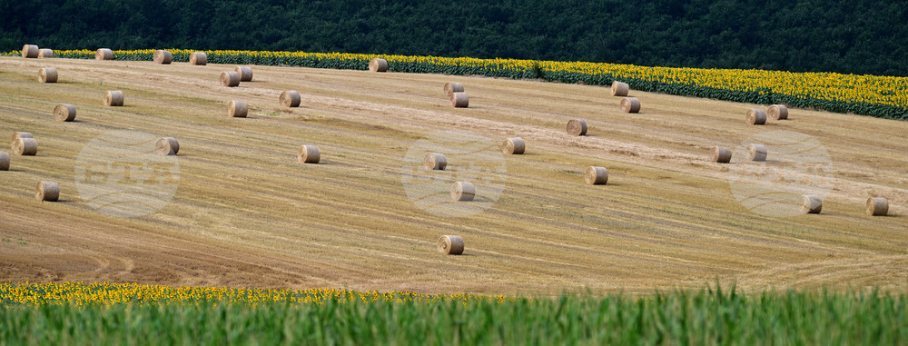 Село Духовец - природа - рулонни бали