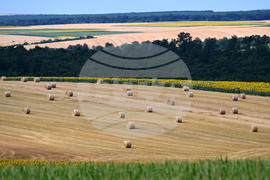 Село Духовец - природа - рулонни бали