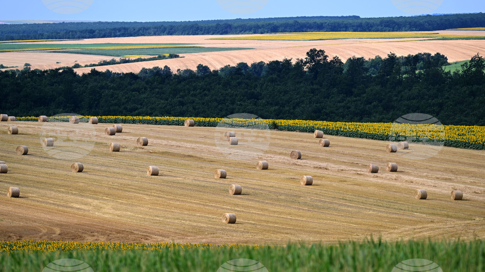 Село Духовец - природа - рулонни бали