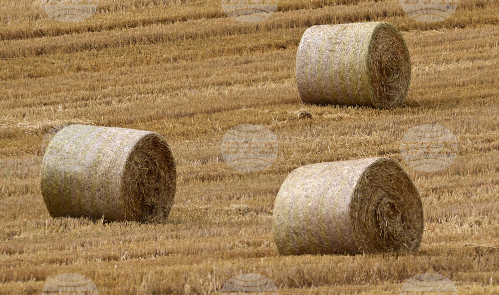 Село Духовец - природа - рулонни бали