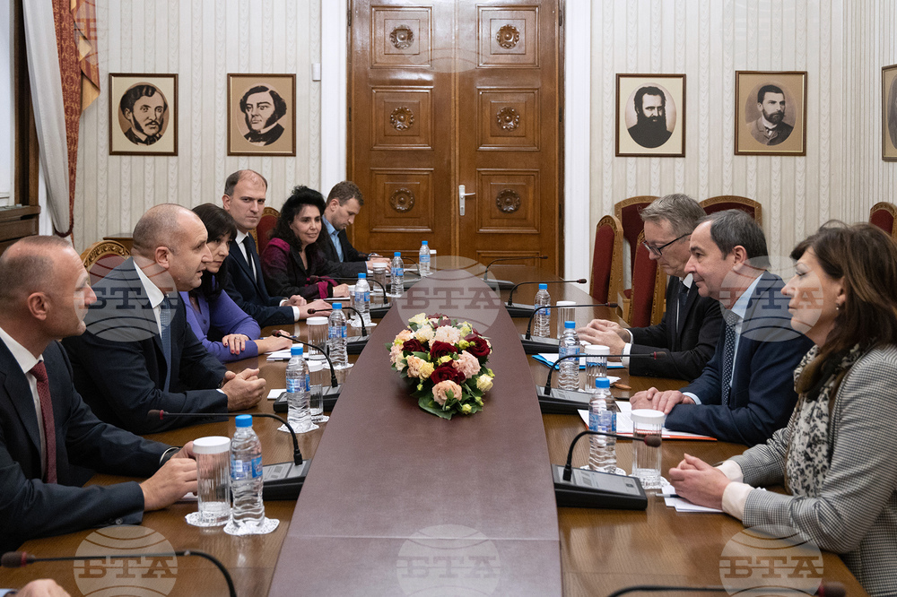 President Radev to Framatome: Bulgaria Seeks Sustainable Energy Solutions that Guarantee Independence and Security