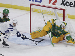 Maple Leafs Wild Hockey