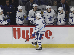 Maple Leafs Wild Hockey