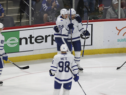 Maple Leafs Wild Hockey