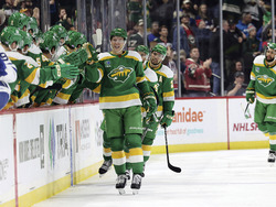 Maple Leafs Wild Hockey