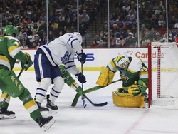 Maple Leafs Wild Hockey