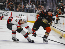 Senators Ducks Hockey