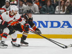 Senators Ducks Hockey