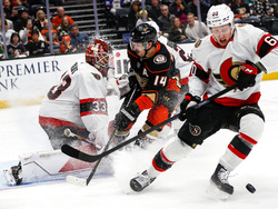 Senators Ducks Hockey