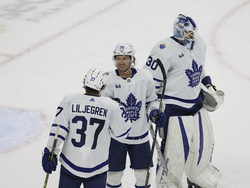 Maple Leafs Wild Hockey