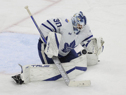 Maple Leafs Wild Hockey