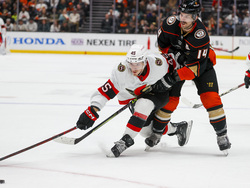 Senators Ducks Hockey
