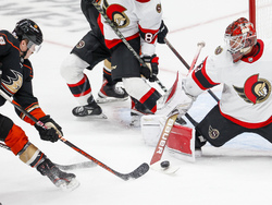 Senators Ducks Hockey
